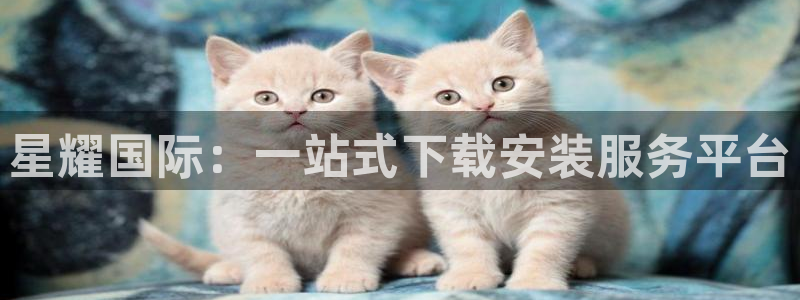 旺财28体育凯捷平台招商：星耀国际：一站式下载安装服务平台