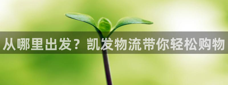 旺财28集团股票：从哪里出发？凯发物流带你轻松购物