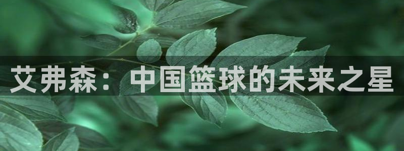 旺财28登录界面入口：艾弗森：中国篮球的未来之星