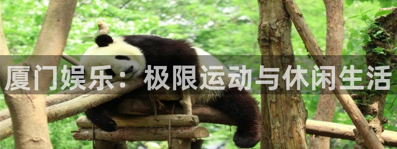 旺财28环保：厦门娱乐：极限运动与休闲生活