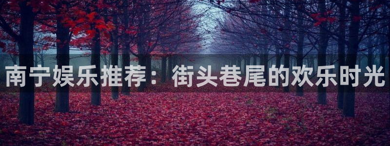旺财28f凯捷注册：南宁娱乐推荐：街头巷尾的欢乐时光