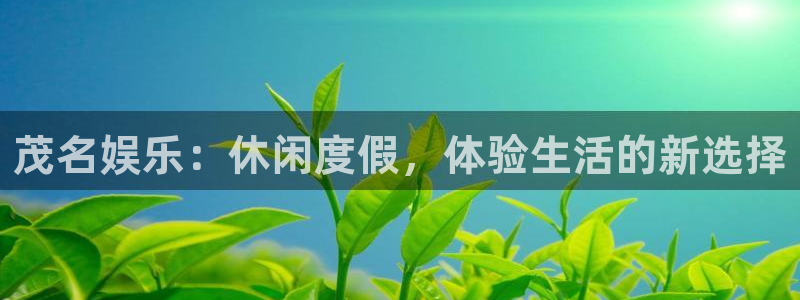 旺财28体育免费注册入口：茂名娱乐：休闲度假，体验生活的新选择