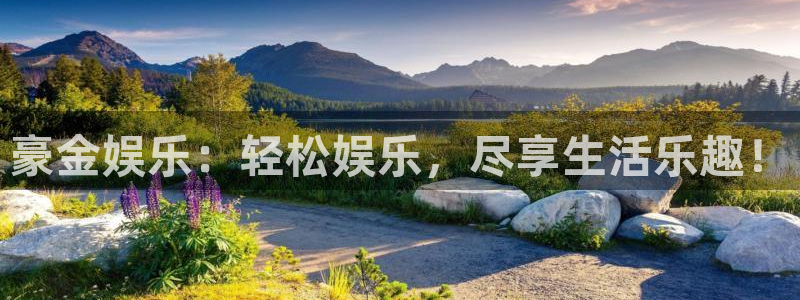 上海旺财28汽车电子有限公司：豪金娱乐：轻松娱乐，尽享生活乐趣！