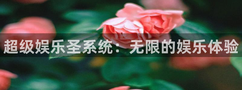 旺财28体育游戏