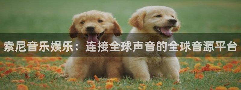 旺财282平台