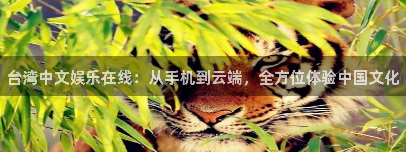 旺财28体育代理申请流程