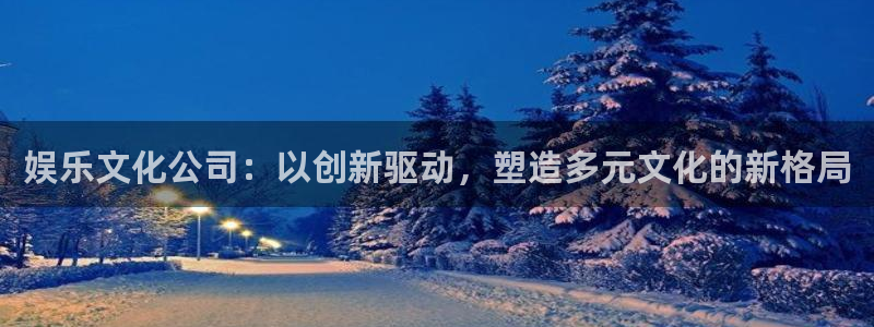 旺财28招商：娱乐文化公司：以创新驱动，塑造多元文化的新格局