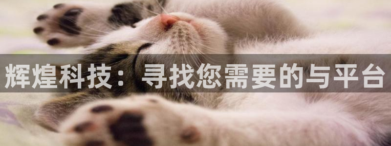 旺财28f凯捷平台在线注册：辉煌科技：寻找您需要的与平台