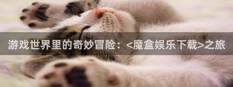 旺财28体育平台总代理：游戏世界里的奇妙冒险：<魔盒娱乐下载>之旅
