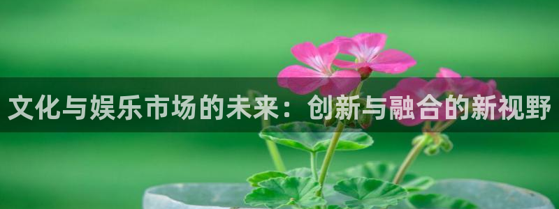 旺财28体育游戏：文化与娱乐市场的未来：创新与融合的新视野