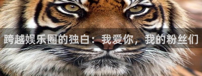 旺财28零能源集团：跨越娱乐圈的独白：我爱你，我的粉丝们