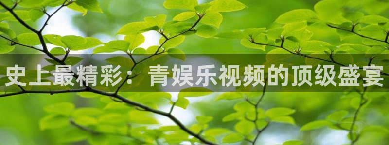 旺财28体育游戏：史上最精彩：青娱乐视频的顶级盛宴