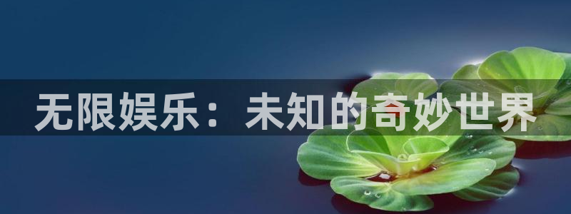 旺财28体育凯捷平台代理：无限娱乐：未知的奇妙世界