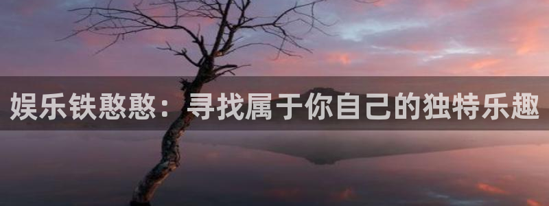 旺财28平台：娱乐铁憨憨：寻找属于你自己的独特乐趣