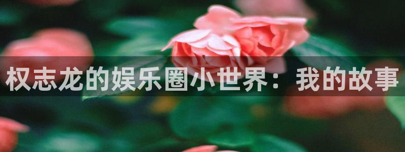 旺财28主管：权志龙的娱乐圈小世界：我的故事