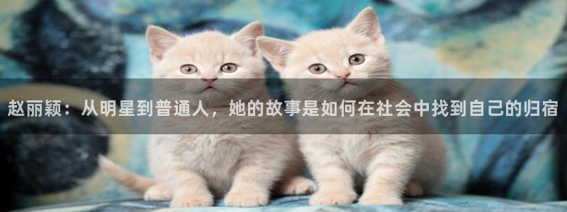 旺财28平台注册：赵丽颖：从明星到普通人，她的故事是如何在社会中找到自己的归宿