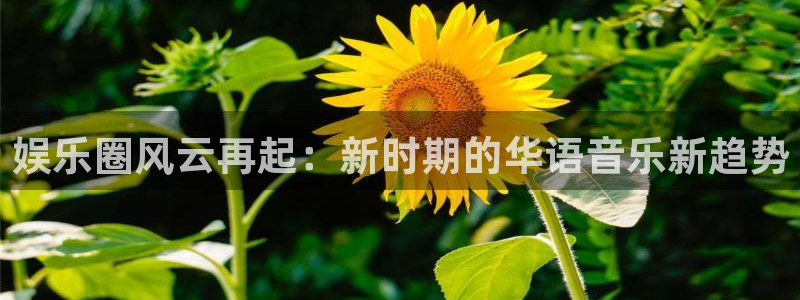 旺财282平台登录：娱乐圈风云再起：新时期的华语音乐新趋势