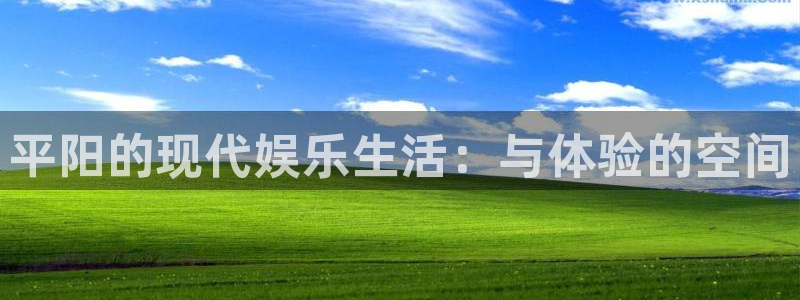 旺财284注册：平阳的现代娱乐生活：与体验的空间