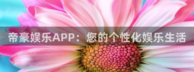 旺财28体育官网入口登录：帝豪娱乐APP：您的个性化娱乐生活