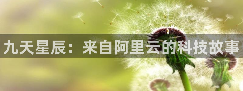 成都旺财28电子有限公司：九天星辰：来自阿里云的科技故事