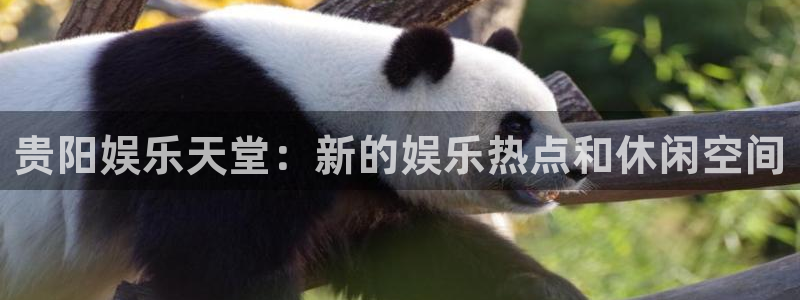 旺财28体育官网：贵阳娱乐天堂：新的娱乐热点和休闲空间
