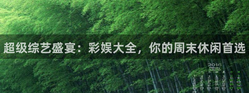 旺财282代理注册：超级综艺盛宴：彩娱大全，你的周末休闲首选