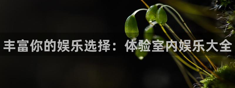 旺财28体育f开户：丰富你的娱乐选择：体验室内娱乐大全
