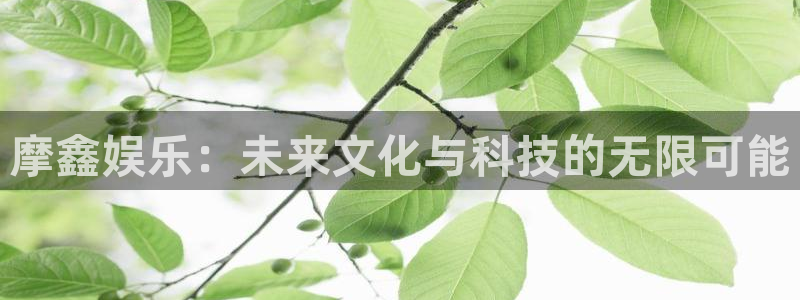 旺财283平台注册：摩鑫娱乐：未来文化与科技的无限可能