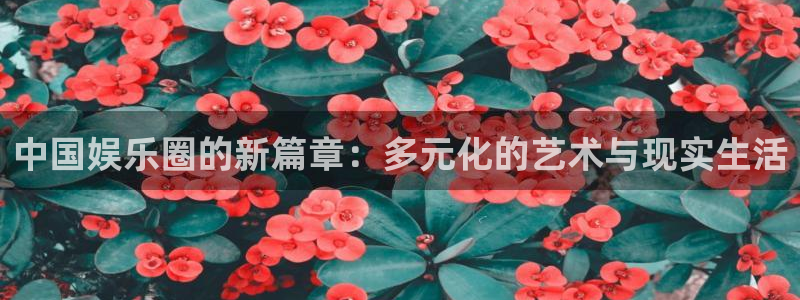 旺财283平台注册：中国娱乐圈的新篇章：多元化的艺术与现实生活