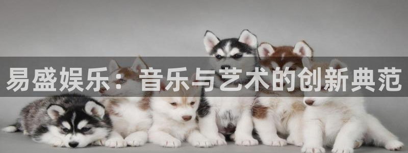 旺财285：易盛娱乐：音乐与艺术的创新典范