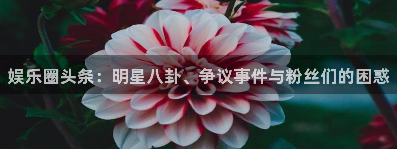 旺财28集团官网：娱乐圈头条：明星八卦、争议事件与粉丝们的困惑