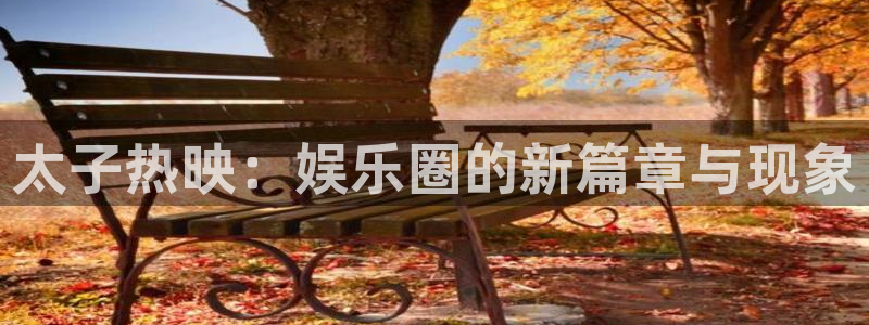 旺财28能源：太子热映：娱乐圈的新篇章与现象