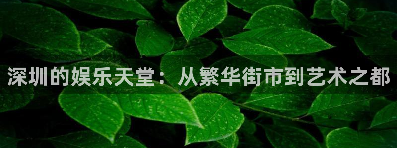 旺财282平台注册：深圳的娱乐天堂：从繁华街市到艺术之都