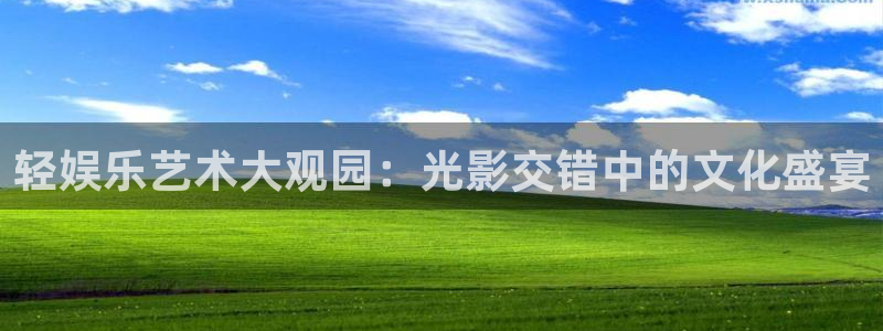 旺财28官网：轻娱乐艺术大观园：光影交错中的文化盛宴