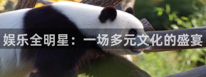 旺财28体育app下载：娱乐全明星：一场多元文化的盛宴