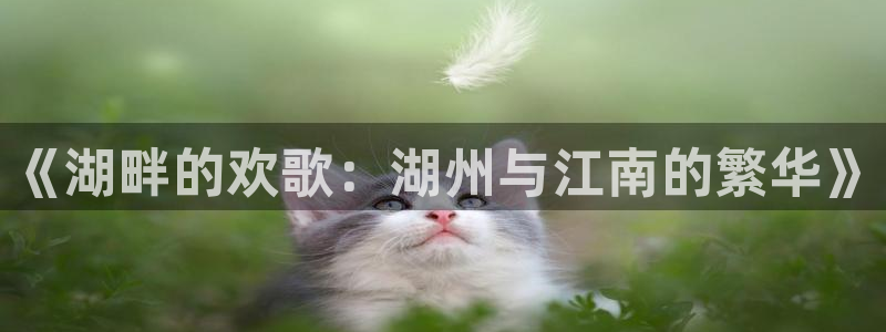 旺财28平台开户链接：《湖畔的欢歌：湖州与江南的繁华》