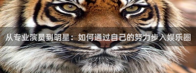 旺财28凯捷平台注册链接：从专业演员到明星：如何通过自己的努力步入娱乐圈