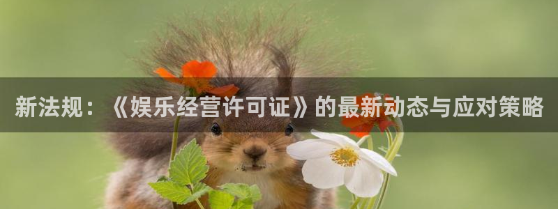 旺财28现在优惠多少：新法规：《娱乐经营许可证》的最新动态与应对策略
