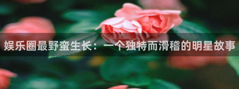 旺财284：娱乐圈最野蛮生长：一个独特而滑稽的明星故事