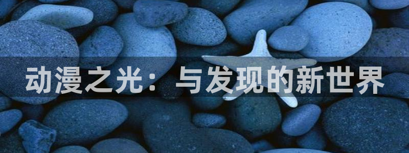 旺财28平台：动漫之光：与发现的新世界